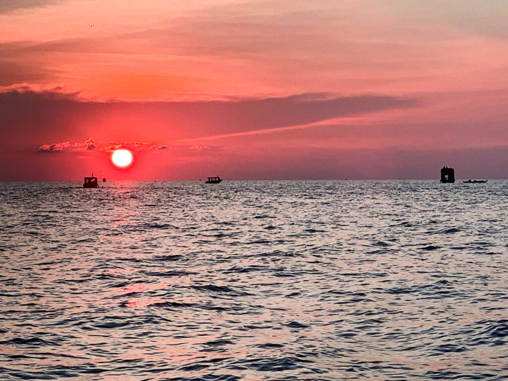 photo_2024-11-17_11-18-44